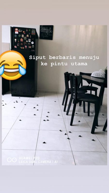Hampir 20k Share,Gadis Ini Kongsi Cerita Siput Sedut Yang 