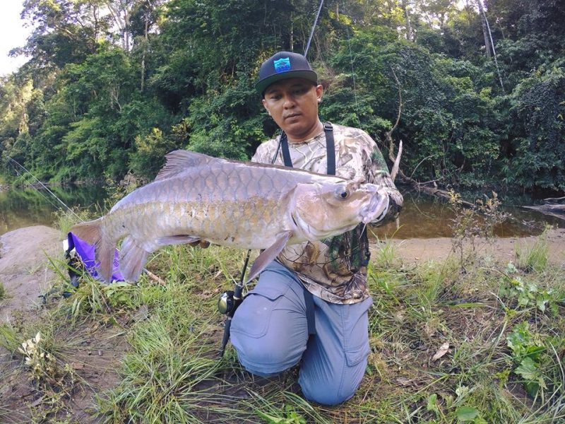Tafsiran mimpi memancing dan berkaitan ikan - Umpan