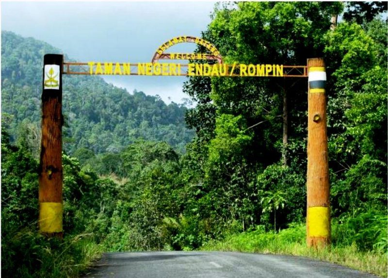Informasi Padang Pancing - Taman Negara Endau Rompin - Umpan