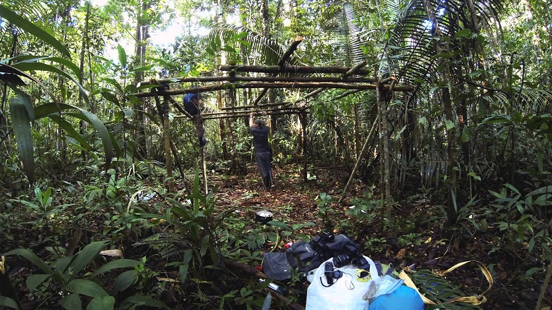 Maxresdefault (2) - Umpan