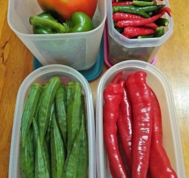 Cara Simpan Sayur Dalam Peti Sejuk Bekas Peniaga Makanan Turunkan 5 Tip Simpan Sayur Dalam Peti Sejuk