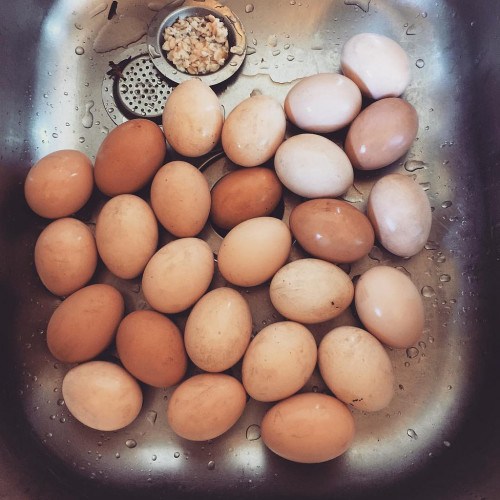 washingeggse1458399759462 Vanilla Kismis