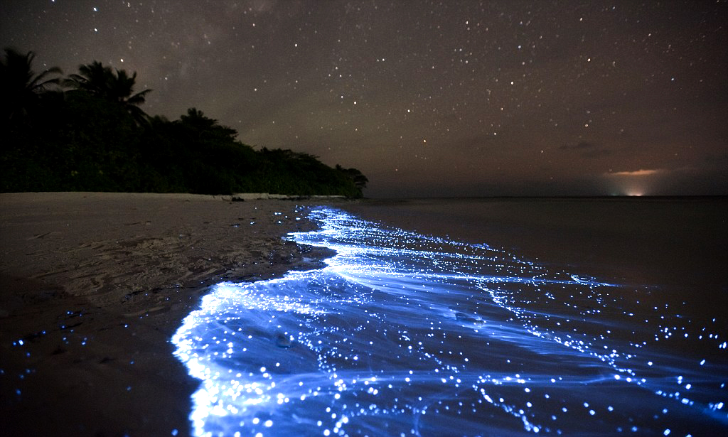‘BLUE TEARS’ Pulau Sembilan, Perak DITUTUP